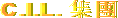 C.I.L. Group